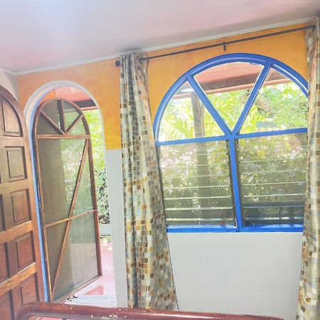 La Palapa Hut Nature Hostel Puerto Jiménez 外观 照片
