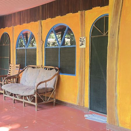 La Palapa Hut Nature Hostel Puerto Jiménez 外观 照片
