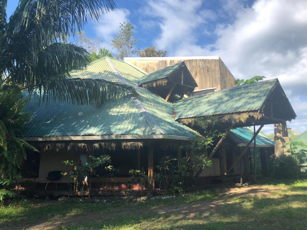 La Palapa Hut Nature Hostel Puerto Jiménez 外观 照片